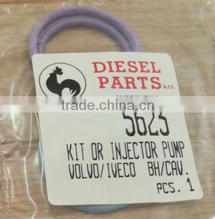 Repair Kits 2417010001 for fuel pump 800001
