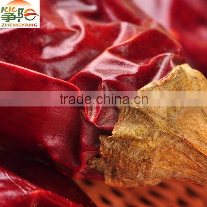 dry red sweet paprika ASTA120-ASTA160-ASTA180-ASTA200