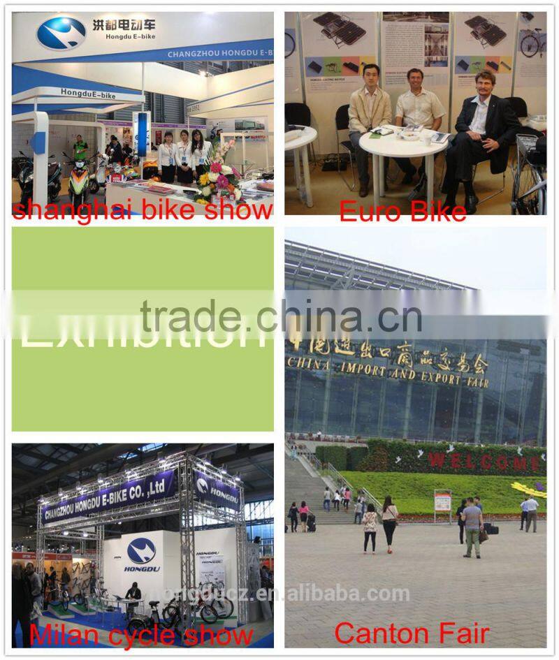 Adults three/3 wheel electric bicycle for old people