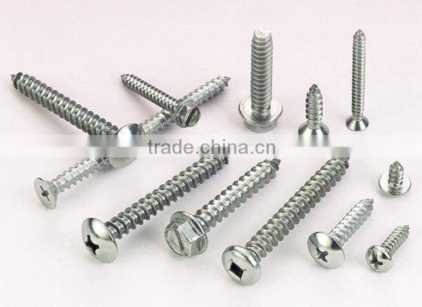 Flat head Self Tapping Screw