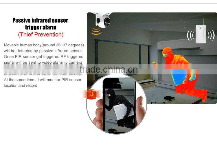 HD 720P Wifi Professional 720P Indoor Wifi IP Camera With I/O Alarm Port