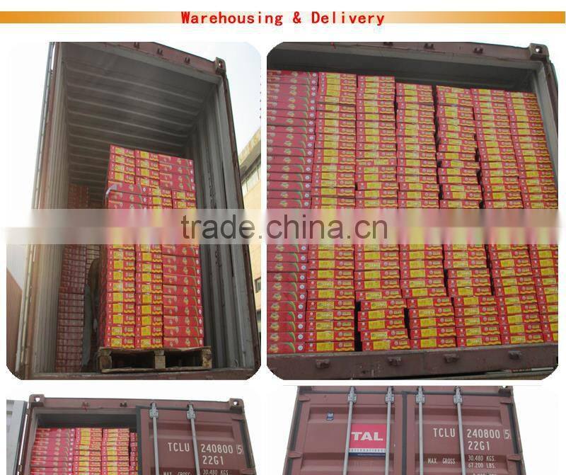 High Quality tomato paste production 210gx48tins