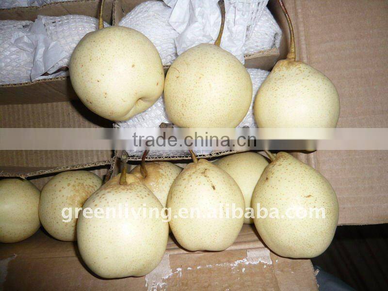 chinese best fresh ya pear (fruits)