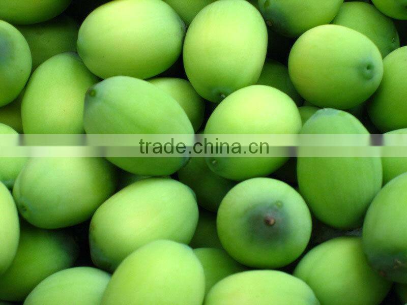 GMP Certified Manufacturer Supply Natural Lotus Seed Extract