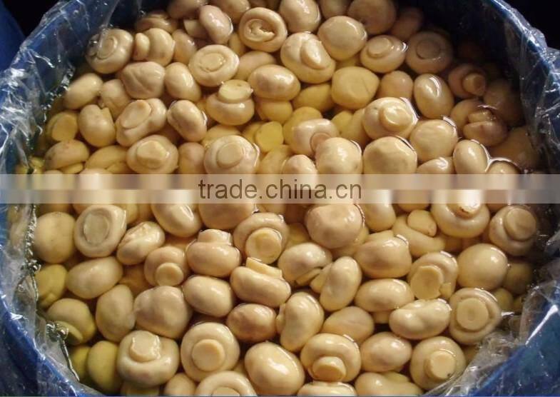 brine meter light yellow mushroom slices brine champignon mushroom high quality champignon mushrooms brine salted boiled in bag