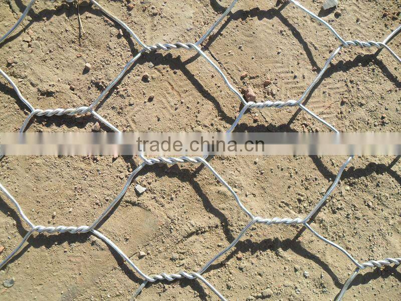 hexagonal wire mesh|chicken wire mesh