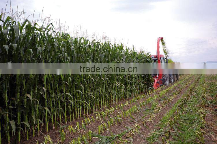 NEW 2016 MADE IN CHINA! row independent silage hay maize chopper