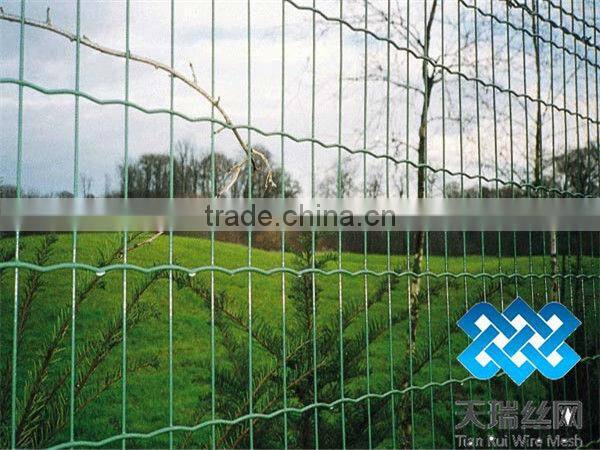 Metal Euro Fencing