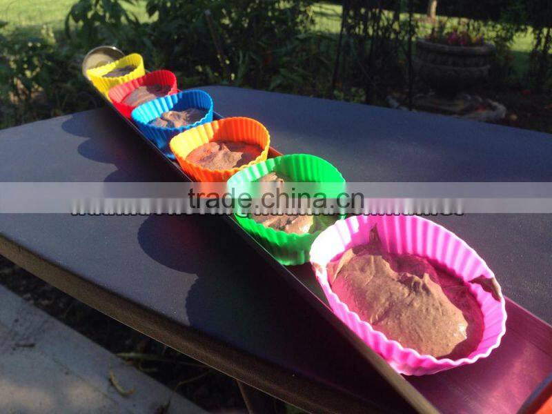 Solar barbeque for meat