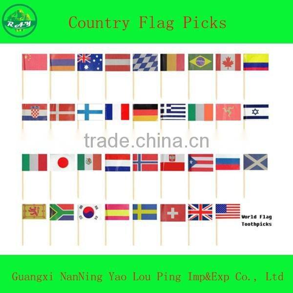Made In China Printed Party Flag