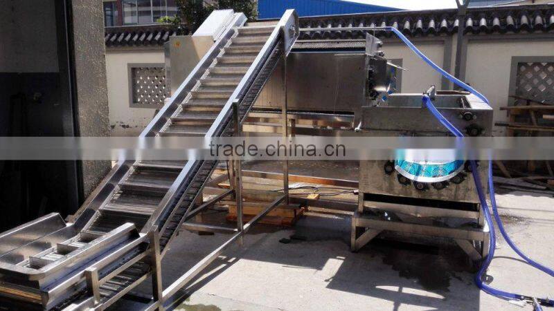 frozen french fries continuous frying production line