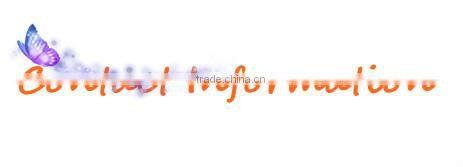 Fashionable silicone goggles for swimming/silicon diving goggles for kids