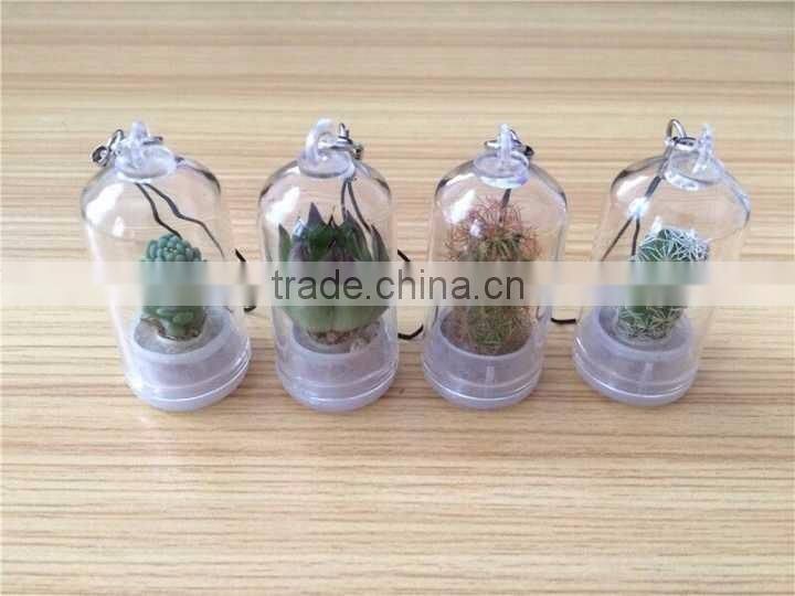 Wholesale Factory Cheap Glass Potted Meaty Cactus Plant Keychain, Super Mini Personal Gift Decorative Keychain Plant Design