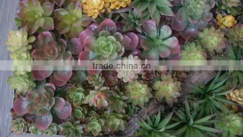 Artificial Plant Wall for wall frame ( artificial green wall ZWQ-HK)