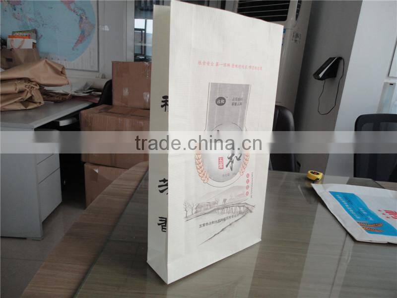 Elegant Custom Printing Promotional Paper Bag with Cotton Handle