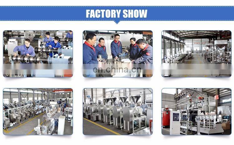 China Supplier Jinan Shandong Dog Cat Fish Twin Screw Extruders Machinery Dog Food Pellet Making Machine Equipment