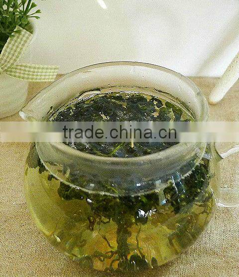 jiaogulan,gynostemma herb,herbal tea