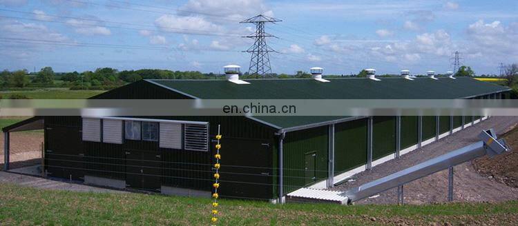 Steel structure workshop low cost house design poultry house
