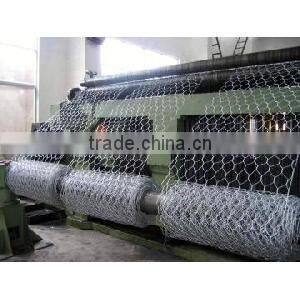 plastic coated chicken wire mesh