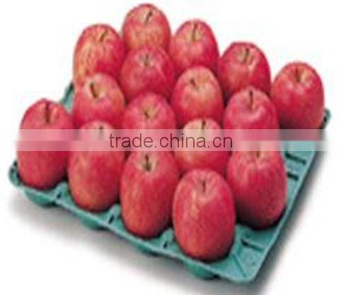 Paper Pulp Automatic Fruit Tray Production Line
