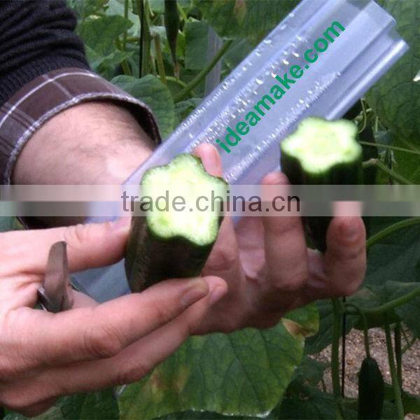 2015 New arrivelOffice Supplies - Flower Pot Stand,patented design