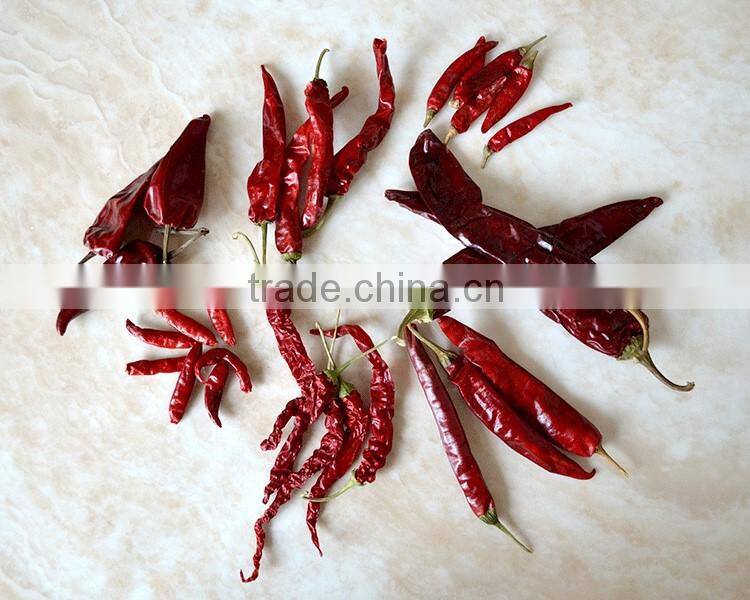 Big Size Chili Cutting Ring Chili Segment Chili Circle