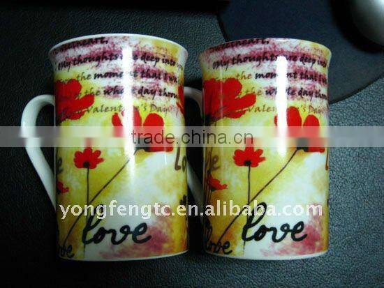 YF28003 couple mug
