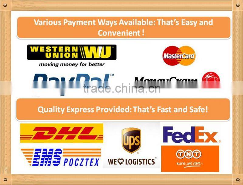 PSC smart two wheels electric balance scooter motor dc brushless gear hub motor