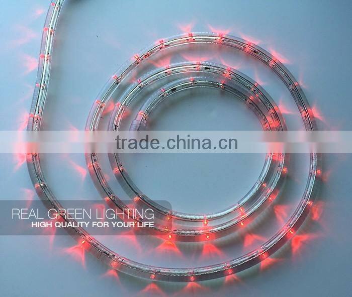 New Design 220V Red LED Christmas Decoration Rope Light