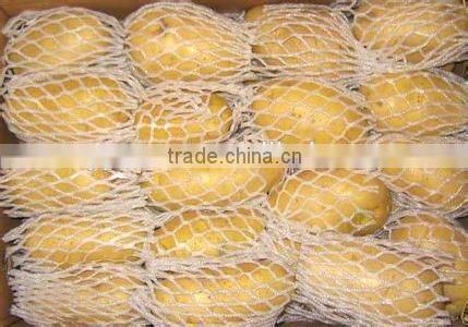 New crop potato bags for sale with high quality