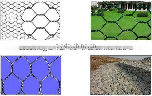 Anping Xinxiang Cheap Galvanized Hexagonal Wire Netting