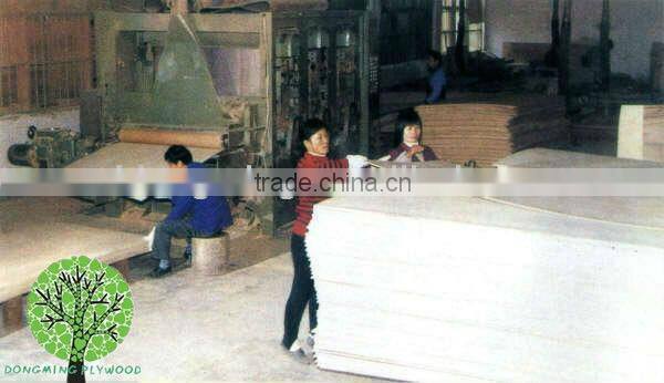 Top Grade Construction Plywood