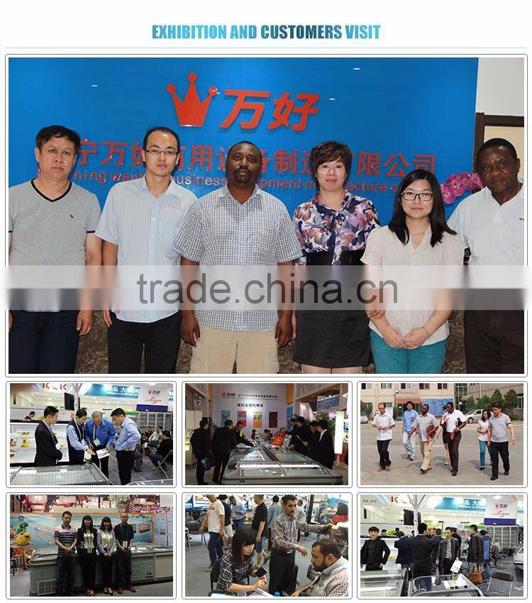 Auto-defrost Function Commercial Deep Freezer With Coating Tempered Low-e Glass Door