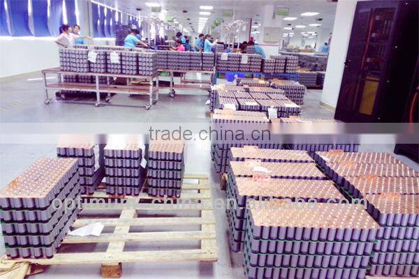 48V 60Ah excellent performance LiFePo4 battery pack different application of e-car/ups