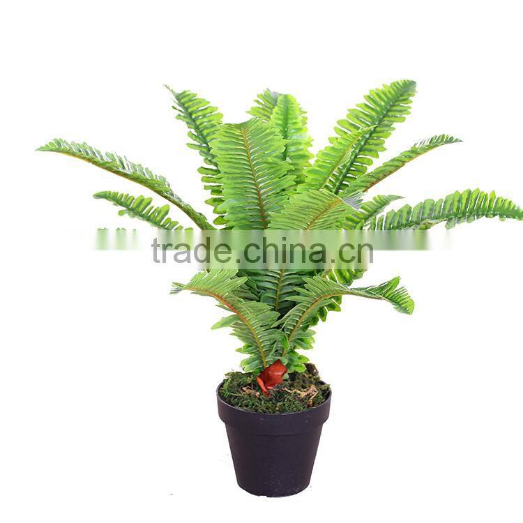 decorative artificial boston bonsai plant and trees