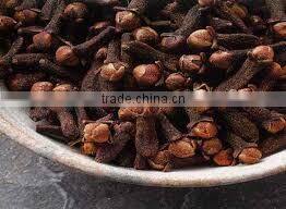 SUPPLY CLOVES SPICES (Call: +84 1687264621)