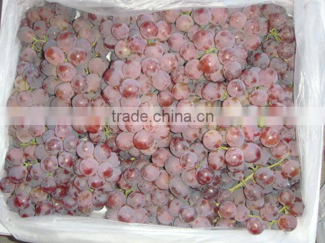 Fresh style and grapefruit type fresh fruit from China