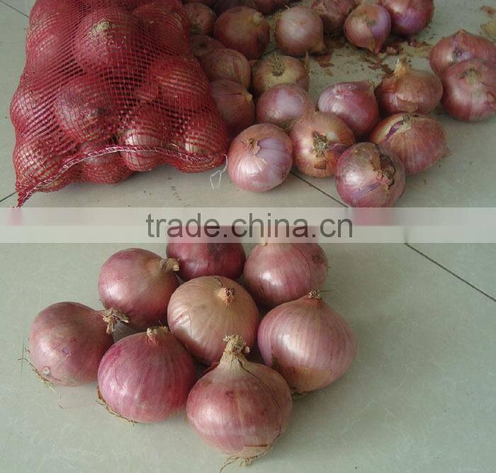 China new crop fresh onion