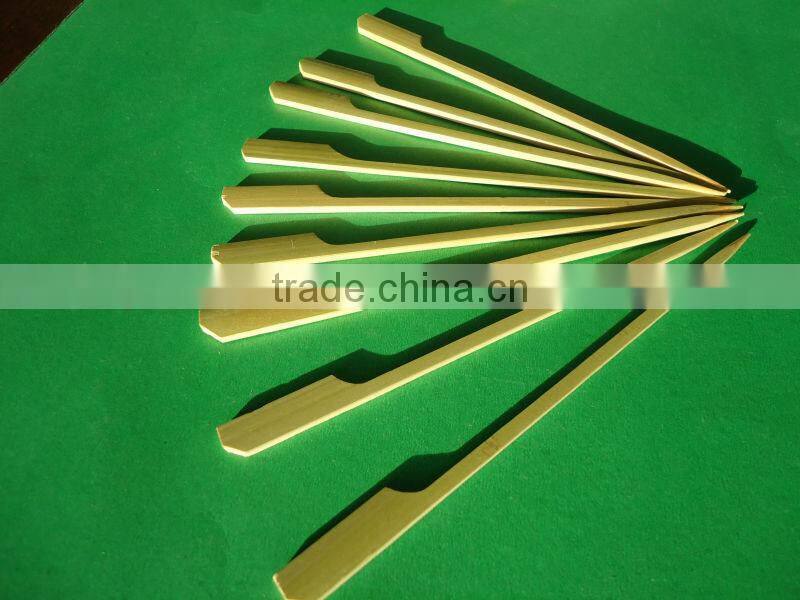 Bamboo Skewer Assortment Paddle Picks and Hygeian Mini Fork