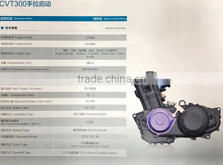 Chinese Cheap CVT 300cc Engine Motor Automatic Transmission Water cooled 4 Valves Manual start For ATV