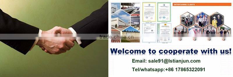 Economic Prefab Home For Living (LS-FL-072)