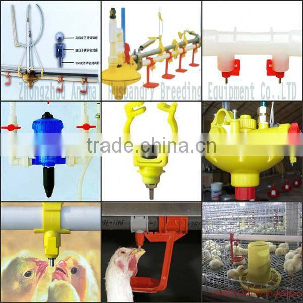 layer chicken cages uganda