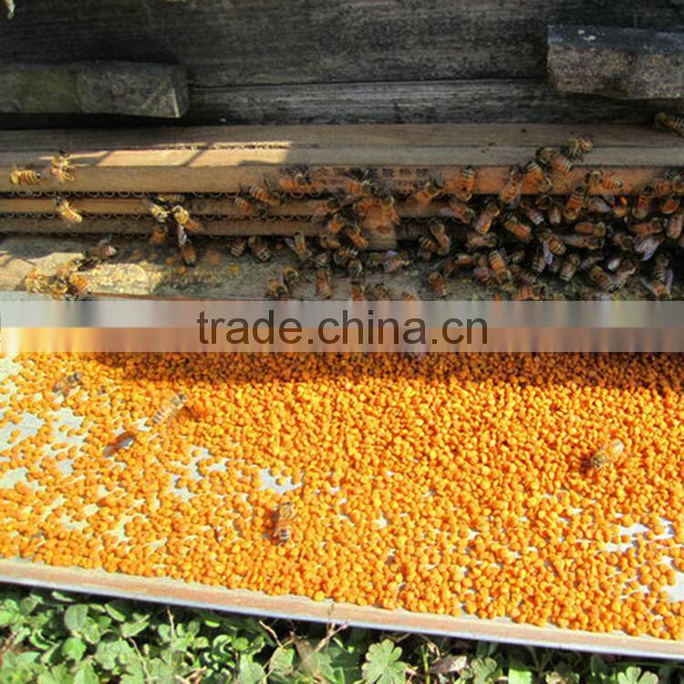 food grade newest organic granulated refined lotus bee pollen