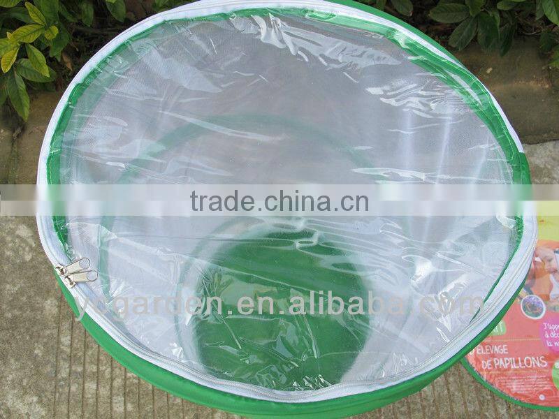 mesh cage for observing insects