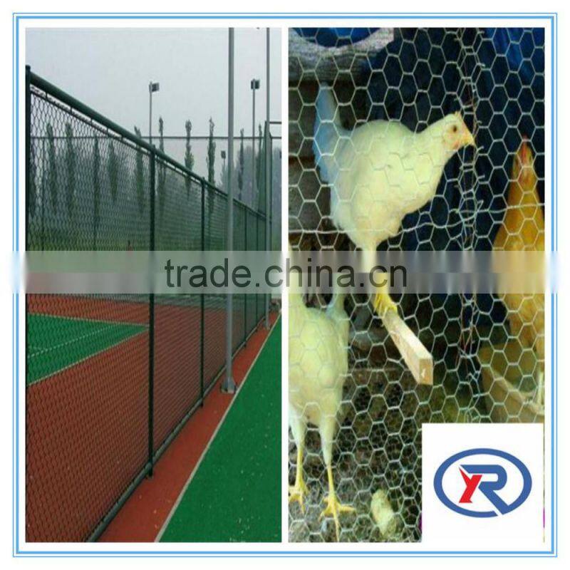 PVC Coated Hexagonal Wire Mesh/Plastic Coated Hexagonal Wire Mesh made in china
