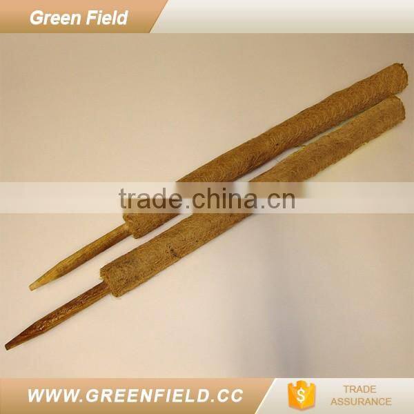 Green Field coconut coir poles for climbing plants
