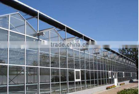 galvanized steel framework greenhouse for grawing vegetables