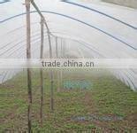 high quality PE agriculture film