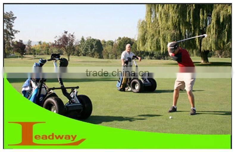 Leadway scooter electric smart balancing acoustics and other Markets