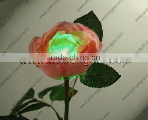 solar rose light